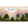 In the South Seas