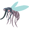 mosquito
