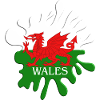 Welsh Flag