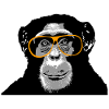 Schimpanse - Affe