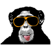Schimpanse - Affe