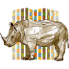 rhinoceros