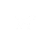 Dogs heartbeat