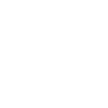 Jack Russel Terrier