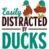 Ente Entchen Geschenk