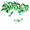 Skater Graffiti