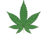 Chanvre Farmer