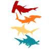 Hammerhead Sharks Gift