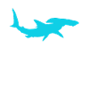 Hammerhead shark saying