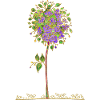 Baum
