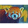 Red Panda Stare In Slumber