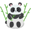 panda