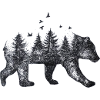 Nature Bear Drawing