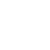 team pitbull