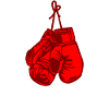 Boxing Boxer Gloves Boxing Gift