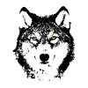 Golden Eyes in the Shadows
