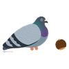 Dove Nut - Funny and Clever