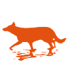 Stalker Tarkovsky