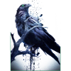 Crow