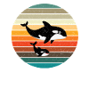 Orca