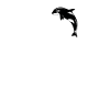 Orca Herzschlag