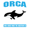 Funny killer whale design