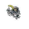 Singes Chimpanzés Singes Singes Banane Singe