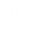 Wolf Polarwolf im Portrait
