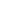 Kebab king white