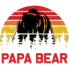 Papa Bear Father's Day Gift