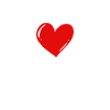 cockroach insect