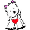 Yorkshire Terrier chien coeur
