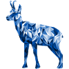 Chamois Chamois Graphics
