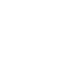 Dinosaur Dino