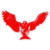 Steinadler, Adler, Greifvogel, Vogel