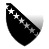 Bosnia Logo #2