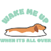 Dachshund