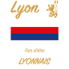 Maillot Lyon 2