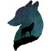 Night wolf