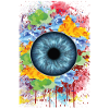 Eye
