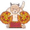 Sumo Pizza Cat