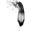 Feather