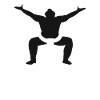 Sumo Fighters