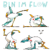 Yoga Seagulls / Team Flow