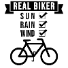 Real bikers, in any weather!