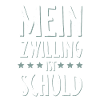 Zwillinge Witzig Geschwister