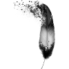 feather