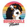 Bernedoodle