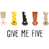 give me five