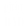 Pilot Far Far Plane Glider Copilot